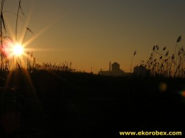 EKOROBEX